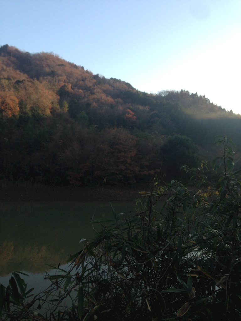 f:id:schilf:20151214161523j:image f:id:schilf:20151214161523j:image
