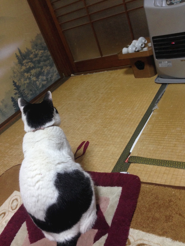 f:id:schilf:20160122190340j:image f:id:schilf:20160122190340j:image