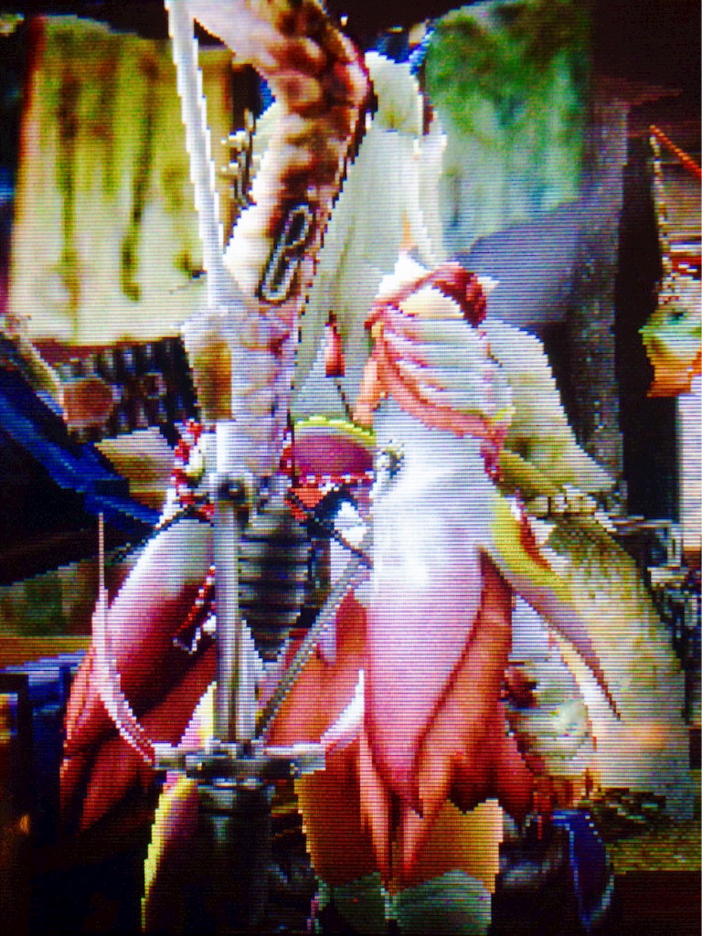f:id:schilf:20160404182156j:image f:id:schilf:20160404182156j:image