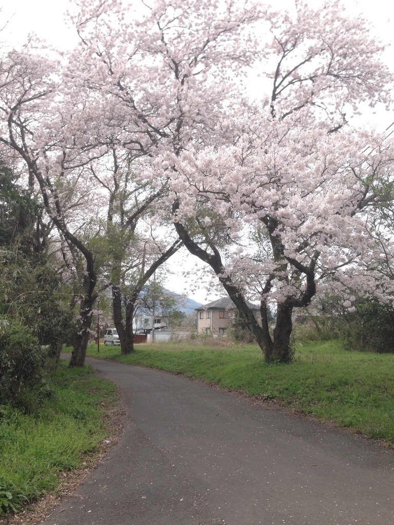 f:id:schilf:20160406161346j:image f:id:schilf:20160406161346j:image