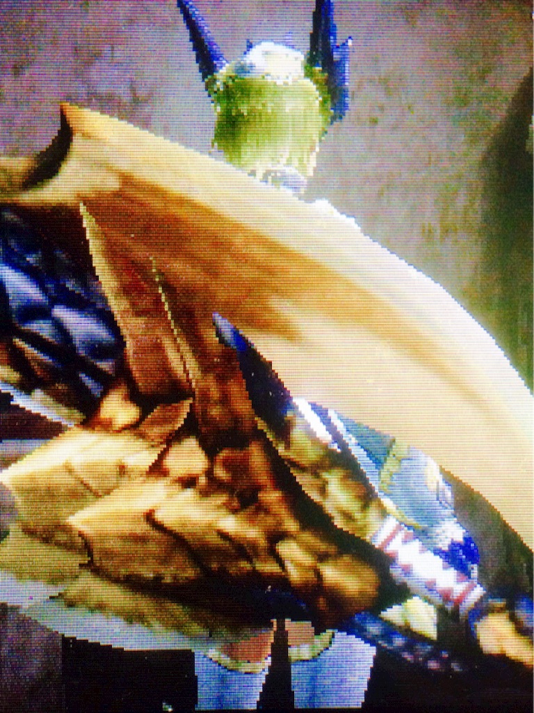 f:id:schilf:20160516182855j:image f:id:schilf:20160516182855j:image