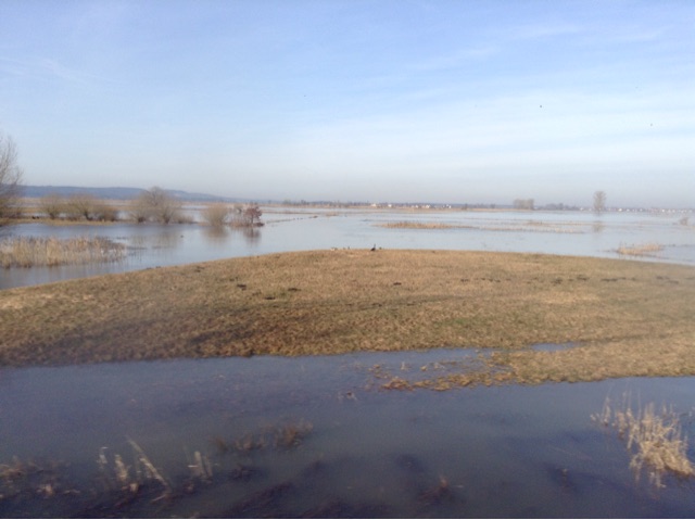 f:id:schwarzekatze1020:20150308075332j:plain f:id:schwarzekatze1020:20150308075332j:plain