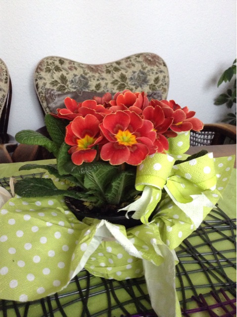 f:id:schwarzekatze1020:20150310175249j:plain f:id:schwarzekatze1020:20150310175249j:plain
