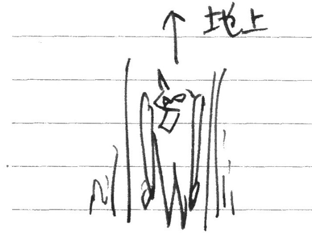 f:id:sconsciousn:20150622204251j:image f:id:sconsciousn:20150622204251j:image