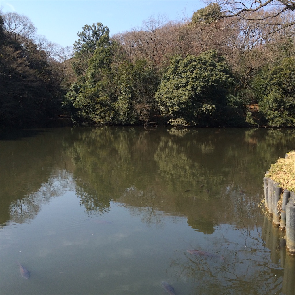 f:id:scs223171024:20160227224101j:image f:id:scs223171024:20160227224101j:image