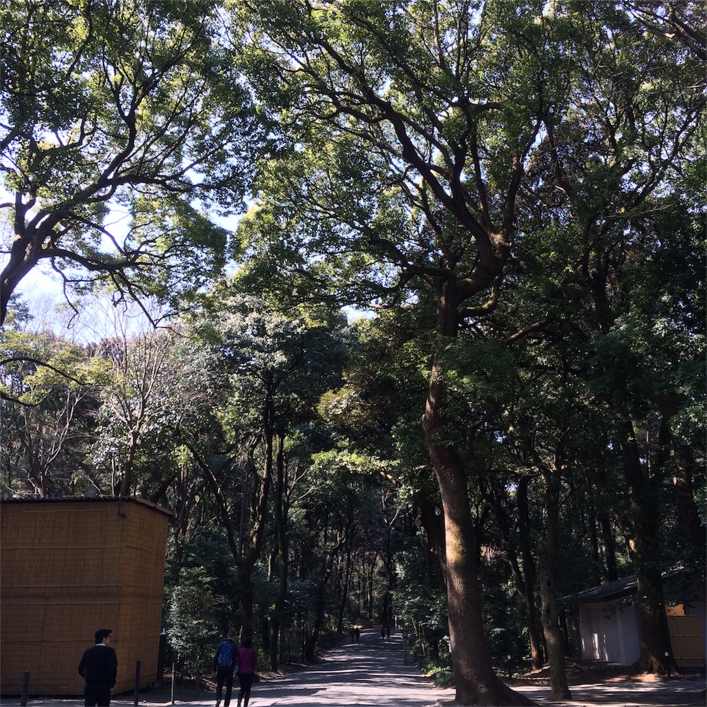 f:id:scs223171024:20160227230543j:image f:id:scs223171024:20160227230543j:image