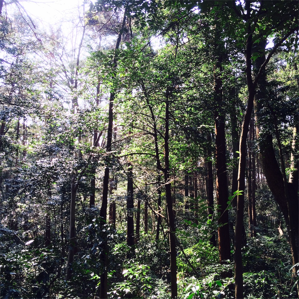 f:id:scs223171024:20160227230600j:image f:id:scs223171024:20160227230600j:image