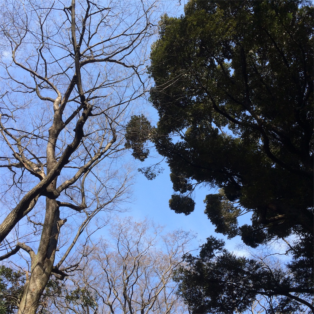 f:id:scs223171024:20160227230634j:image f:id:scs223171024:20160227230634j:image