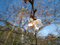 f:id:se-nen:20070205105123j:image:small f:id:se-nen:20070205105123j:image:small