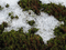 f:id:se-nen:20070205105611j:image:small f:id:se-nen:20070205105611j:image:small