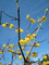 f:id:se-nen:20070205232816j:image:small f:id:se-nen:20070205232816j:image:small