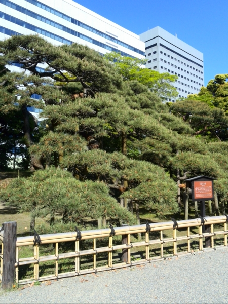 f:id:seachikin:20150505150519j:plain