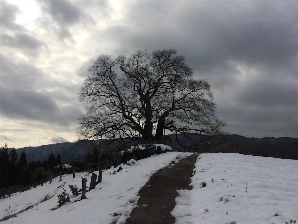 f:id:secretlife:20160124154518j:image f:id:secretlife:20160124154518j:image