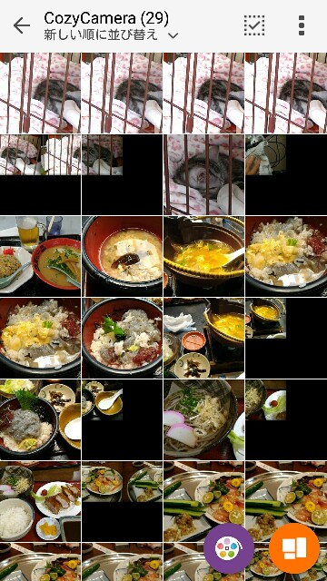 f:id:seesonoro:20160125111121j:image f:id:seesonoro:20160125111121j:image