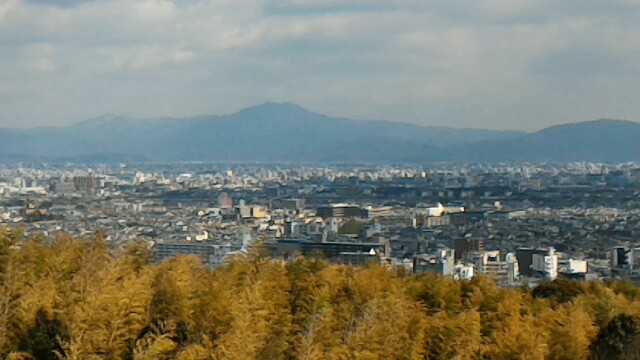 f:id:seesonoro:20160302125513j:image f:id:seesonoro:20160302125513j:image