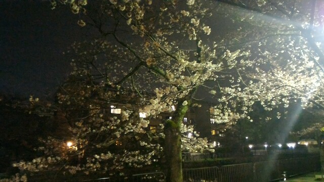 f:id:seesonoro:20160330122327j:image f:id:seesonoro:20160330122327j:image