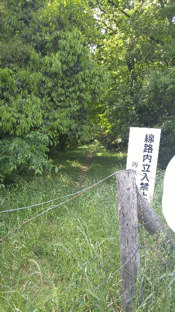 f:id:sefish:20160517075831j:image f:id:sefish:20160517075831j:image