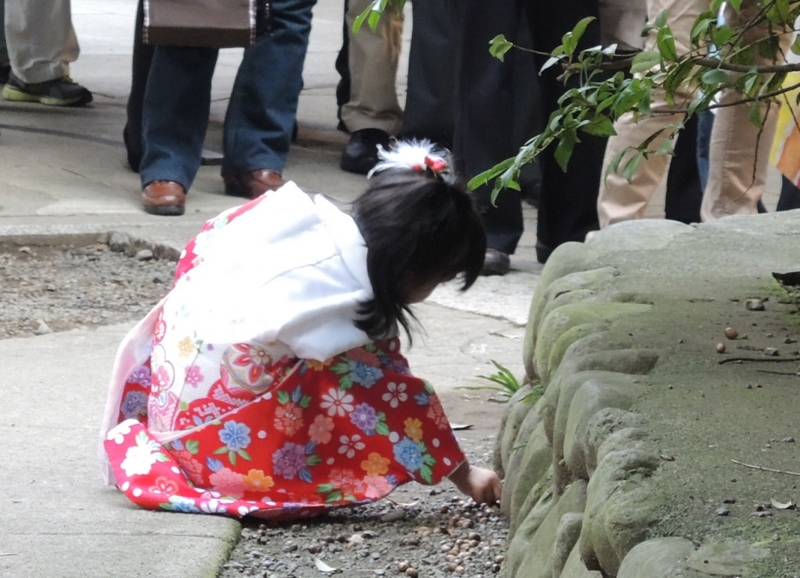 f:id:seibei-kagaya:20150226191927j:plain f:id:seibei-kagaya:20150226191927j:plain