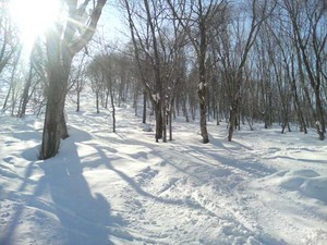 f:id:seigoy:20070222115411j:image f:id:seigoy:20070222115411j:image