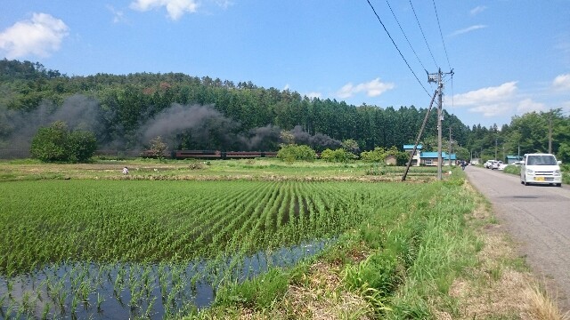 f:id:seigoy:20150601001304j:image f:id:seigoy:20150601001304j:image