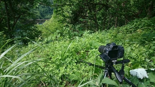 f:id:seigoy:20150601001506j:image f:id:seigoy:20150601001506j:image