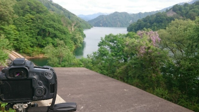 f:id:seigoy:20150601001639j:image f:id:seigoy:20150601001639j:image