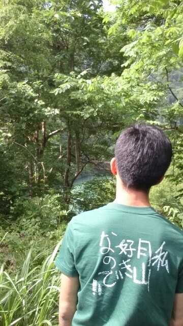 f:id:seigoy:20150601002146j:image f:id:seigoy:20150601002146j:image