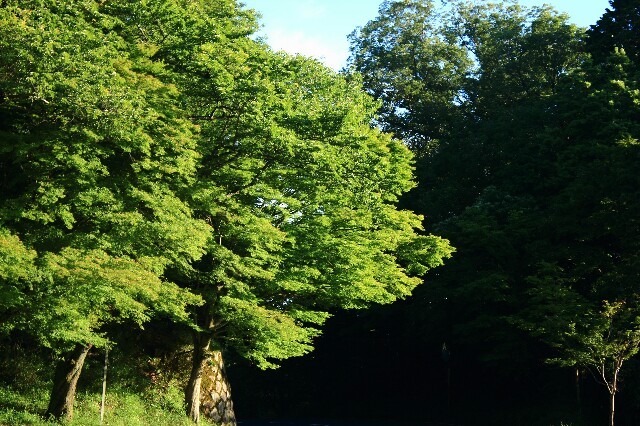 f:id:seigoy:20150607124739j:image f:id:seigoy:20150607124739j:image