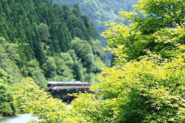 f:id:seigoy:20150621144931j:image f:id:seigoy:20150621144931j:image