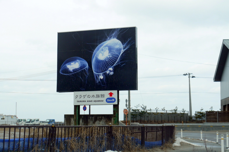 f:id:seiichirou-02:20090223161517j:image:w300 f:id:seiichirou-02:20090223161517j:image:w300