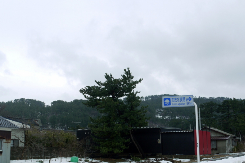 f:id:seiichirou-02:20090223161542j:image:w300 f:id:seiichirou-02:20090223161542j:image:w300