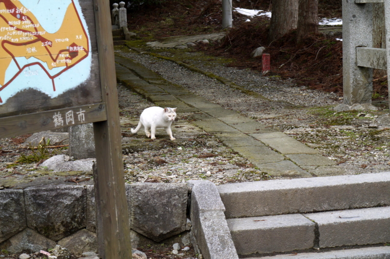 f:id:seiichirou-02:20090303133528j:image:w400 f:id:seiichirou-02:20090303133528j:image:w400