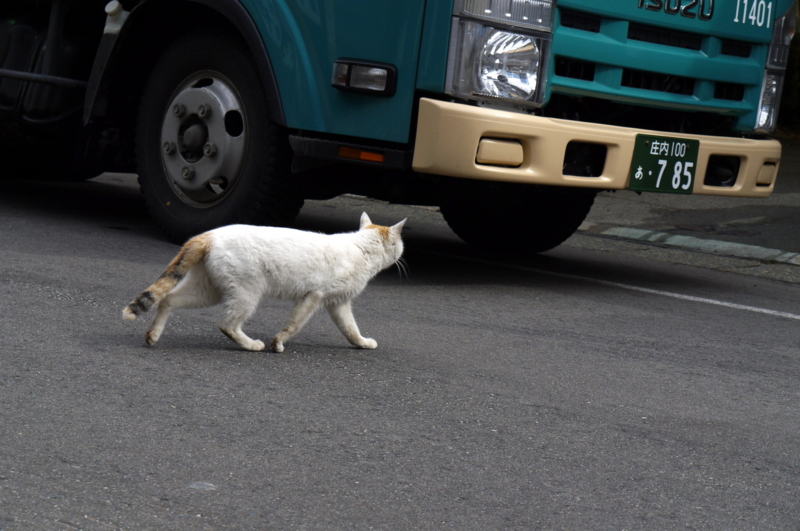 f:id:seiichirou-02:20090303133531j:image:w400 f:id:seiichirou-02:20090303133531j:image:w400