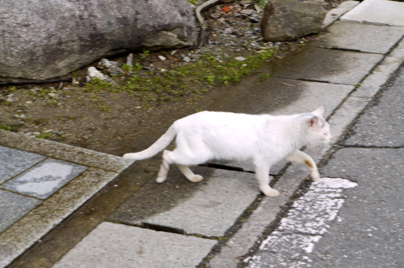 f:id:seiichirou-02:20090303133556j:image:w400 f:id:seiichirou-02:20090303133556j:image:w400