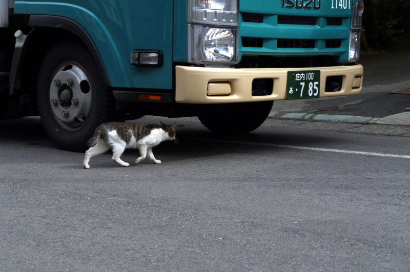 f:id:seiichirou-02:20090303133601j:image:w400 f:id:seiichirou-02:20090303133601j:image:w400