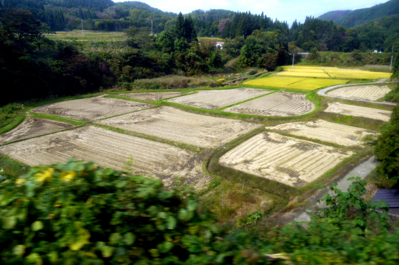 f:id:seiichirou-02:20091013130627j:image:w400 f:id:seiichirou-02:20091013130627j:image:w400