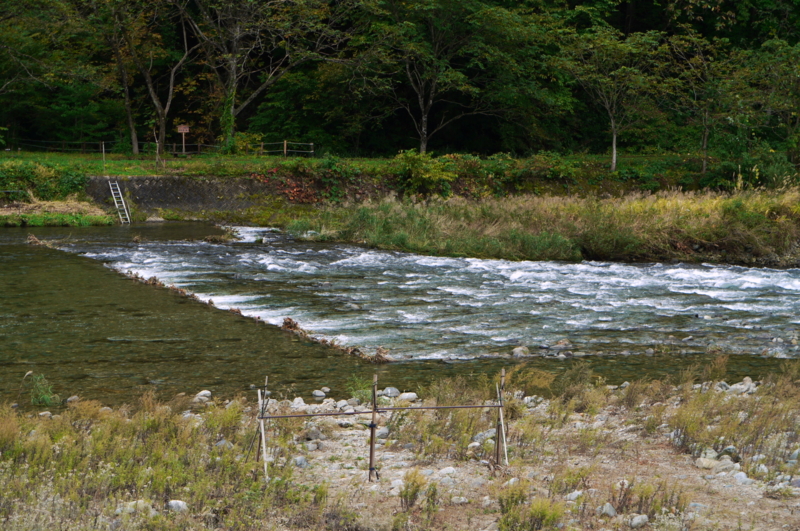 f:id:seiichirou-02:20091013132536j:image:w600 f:id:seiichirou-02:20091013132536j:image:w600