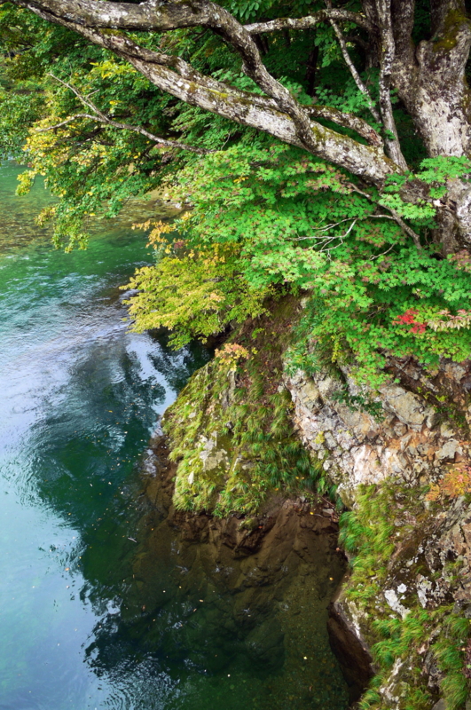 f:id:seiichirou-02:20091013132921j:image:h600 f:id:seiichirou-02:20091013132921j:image:h600