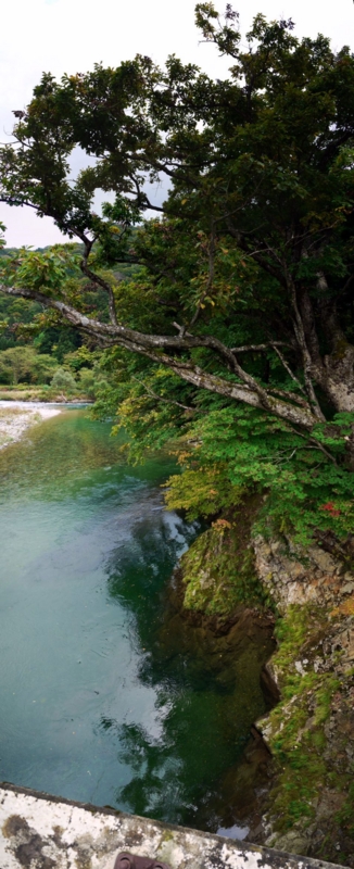 f:id:seiichirou-02:20091013132935j:image f:id:seiichirou-02:20091013132935j:image