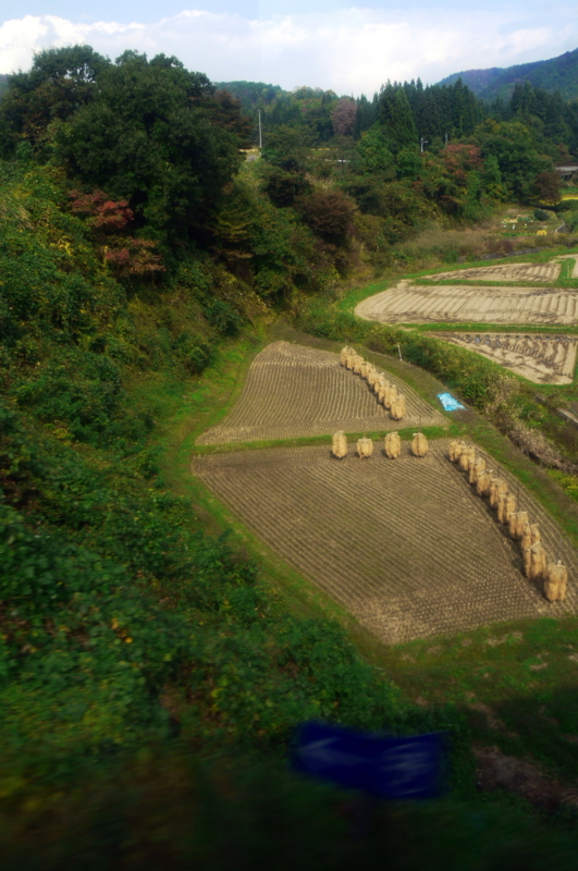 f:id:seiichirou-02:20091014105809j:image:h600 f:id:seiichirou-02:20091014105809j:image:h600