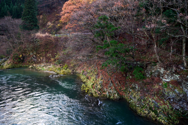 f:id:seiichirou-02:20091123152459j:image f:id:seiichirou-02:20091123152459j:image