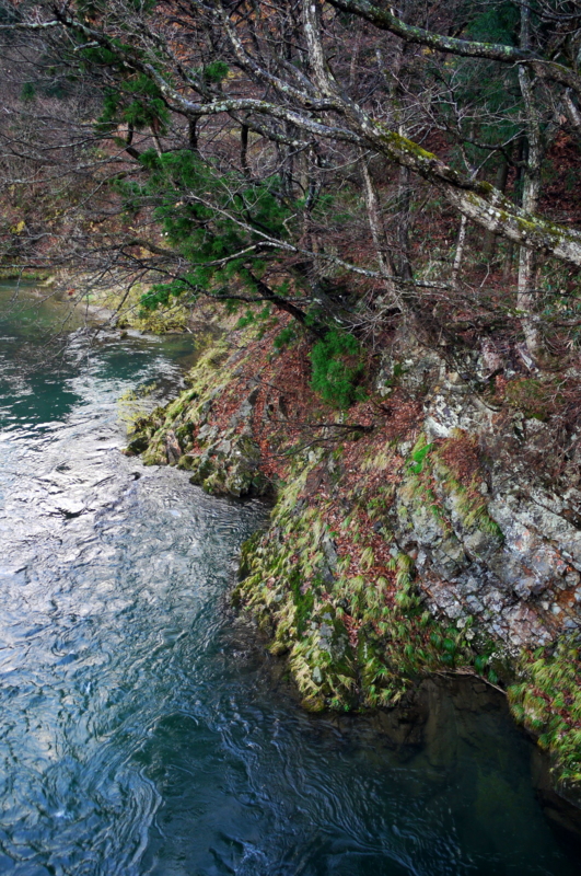 f:id:seiichirou-02:20091123152525j:image f:id:seiichirou-02:20091123152525j:image