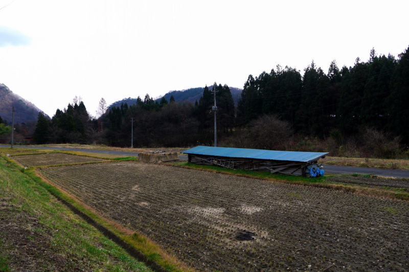 f:id:seiichirou-02:20091127130019j:image:w600 f:id:seiichirou-02:20091127130019j:image:w600