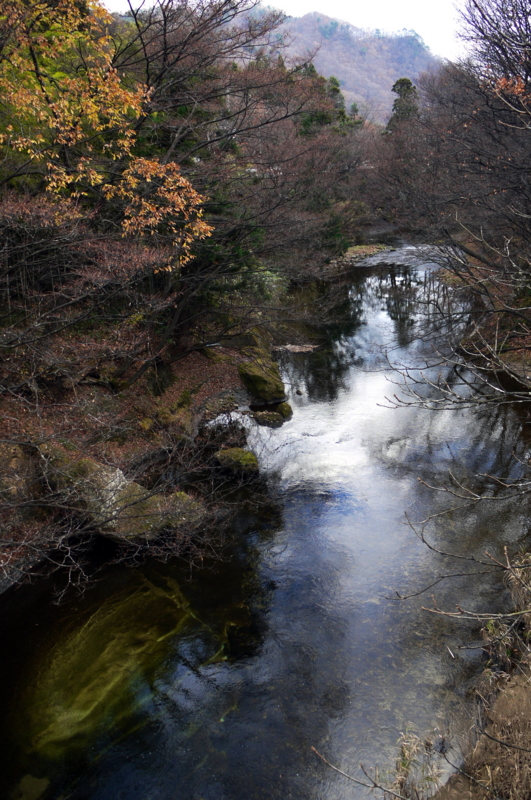 f:id:seiichirou-02:20091127130518j:image f:id:seiichirou-02:20091127130518j:image