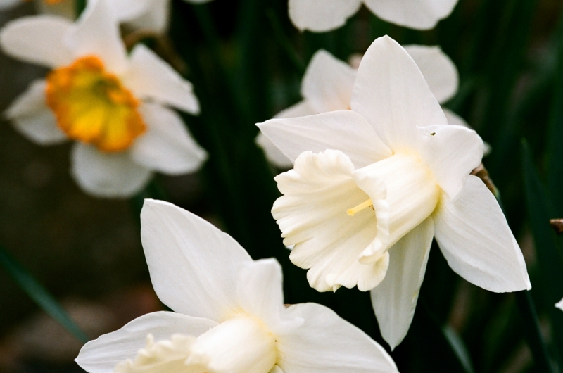 f:id:seiichirou-02:20100115141515j:image f:id:seiichirou-02:20100115141515j:image