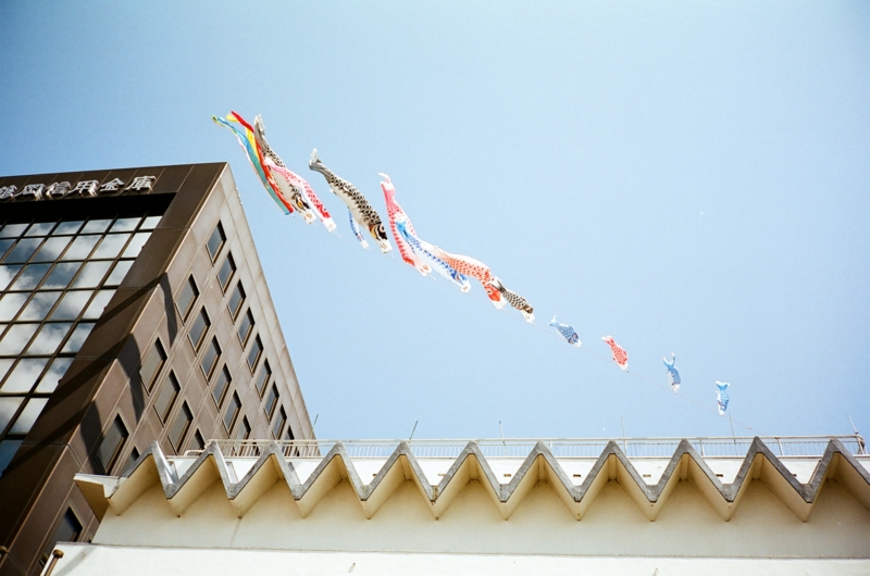 f:id:seiichirou-02:20100115141528j:image f:id:seiichirou-02:20100115141528j:image
