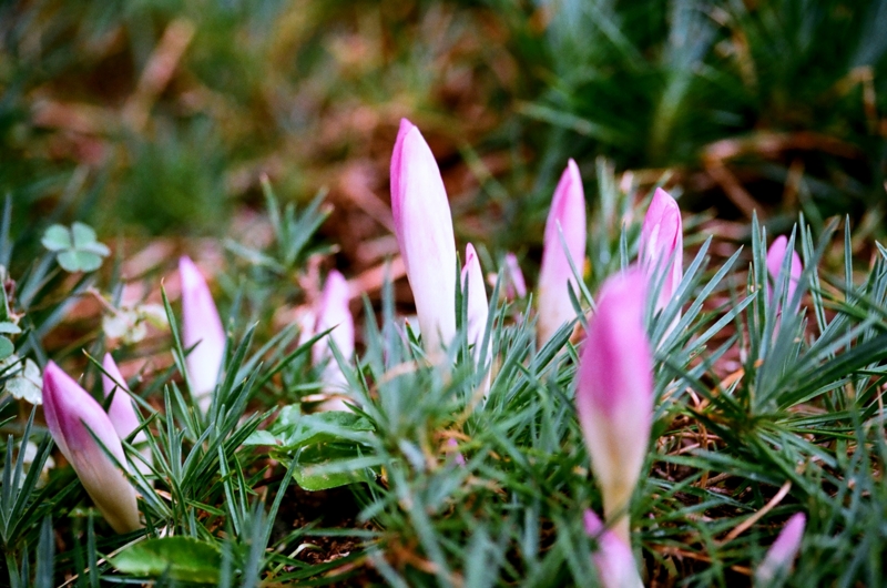 f:id:seiichirou-02:20100115141603j:image f:id:seiichirou-02:20100115141603j:image