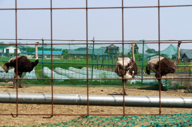f:id:seiichirou-02:20100521094848j:image:w600 f:id:seiichirou-02:20100521094848j:image:w600