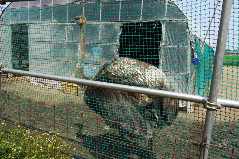 f:id:seiichirou-02:20100521095149j:image:w600 f:id:seiichirou-02:20100521095149j:image:w600