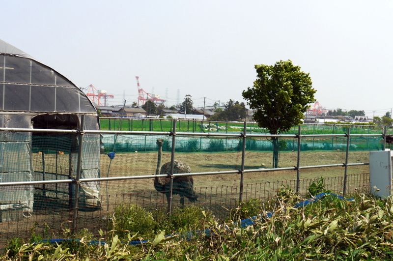f:id:seiichirou-02:20100521095753j:image:w600 f:id:seiichirou-02:20100521095753j:image:w600